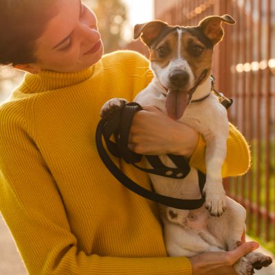O que seu pet está tentando te dizer? Aprenda a entender a linguagem dos animais